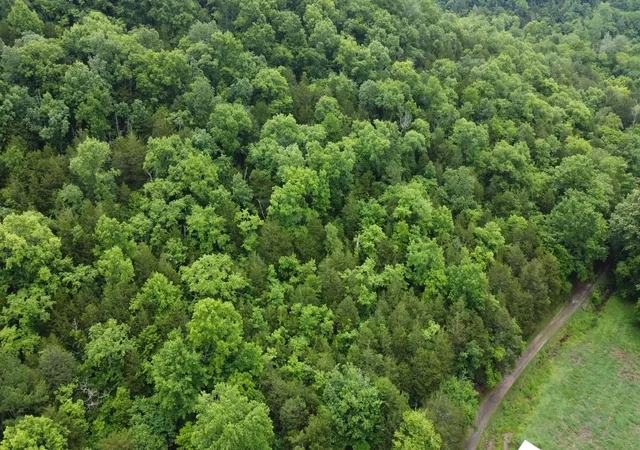 Homes for sale in Pleasant Shade, TN | 32 Patterson Ln, Pleasant Shade, TN 37145 | MLS# 3232764