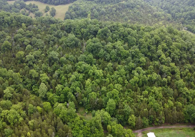 Homes for sale in Pleasant Shade, TN | 32 Patterson Ln, Pleasant Shade, TN 37145 | MLS# 3232764