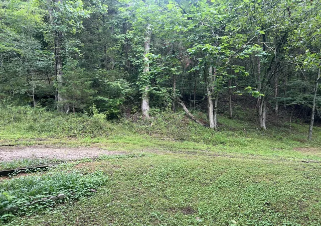 Homes for sale in Pleasant Shade, TN | 32 Patterson Ln, Pleasant Shade, TN 37145 | MLS# 3232764