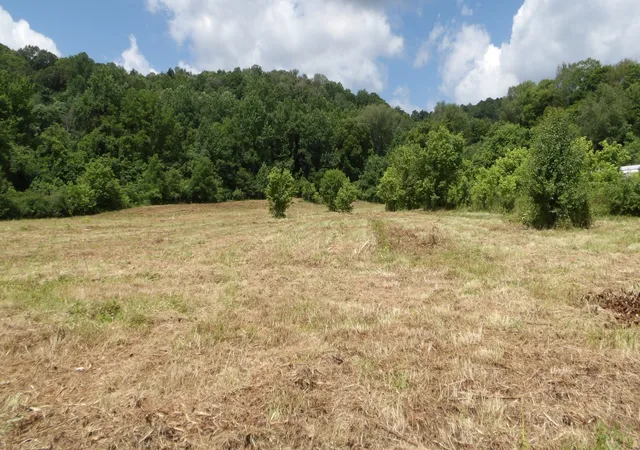Homes for sale in Celina, TN | 0 Lonnie Reecer Rd, Celina, TN 38551 | MLS# 3232433