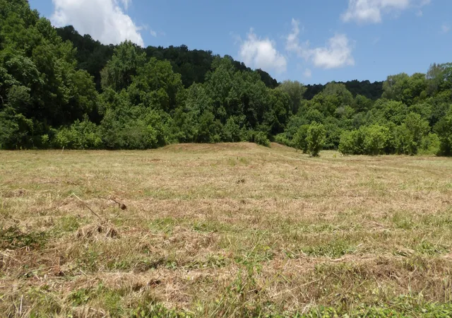 Homes for sale in Celina, TN | 0 Lonnie Reecer Rd, Celina, TN 38551 | MLS# 3232433