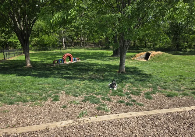 30th image of 369 Springbrook Blvd, White House, TN 37188 | MLS# 3243208
