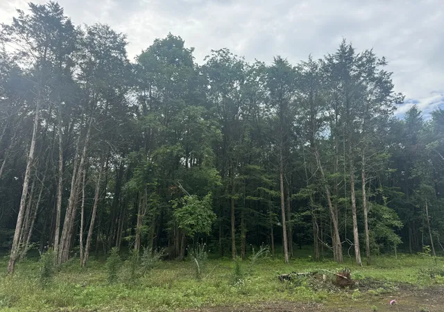 Photo 3 of Land for sale at 1133 Milltown Rd, Lewisburg, TN 37091 | MLS# 3232833 | Listing updated on 2026-10-02