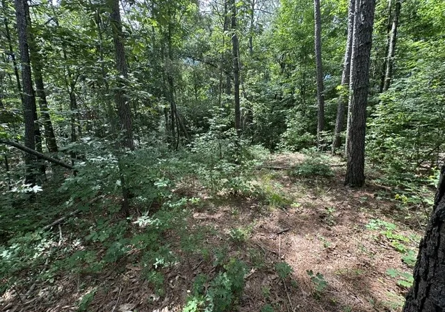 5th image of 0 Stigall St, Camden, TN 38320 | MLS# 3232663