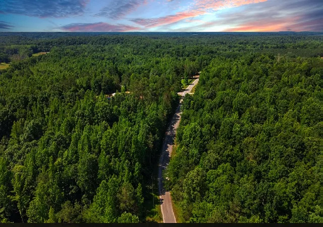 Homes for sale in Parsons, TN | 0 Beech Ridge Rd, Parsons, TN 38363 | MLS# 3234635