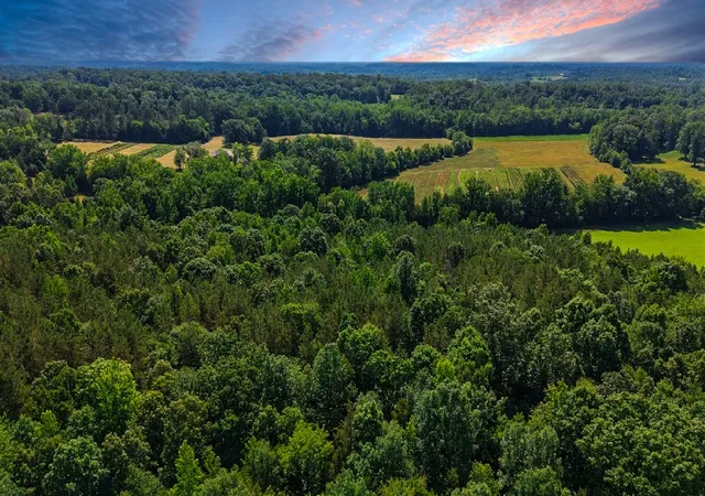 Homes for sale in Parsons, TN | 0 Beech Ridge Rd, Parsons, TN 38363 | MLS# 3234635