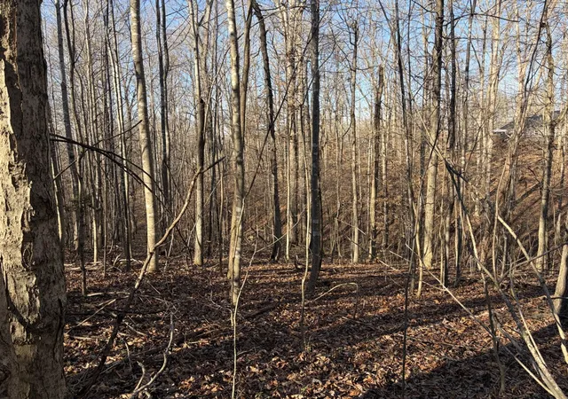 Homes for sale in Lyles, TN | 0 Hatley Rd, Lyles, TN 37098 | MLS# 3242764