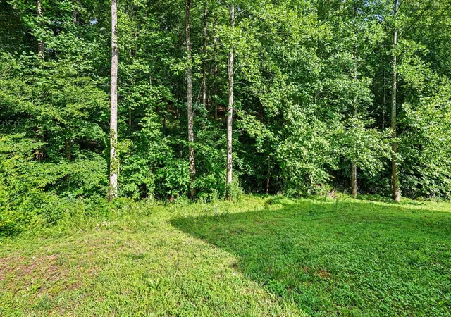 Homes for sale in White Bluff, TN | 809 Ruby Way, White Bluff, TN 37187 | MLS# 3234069