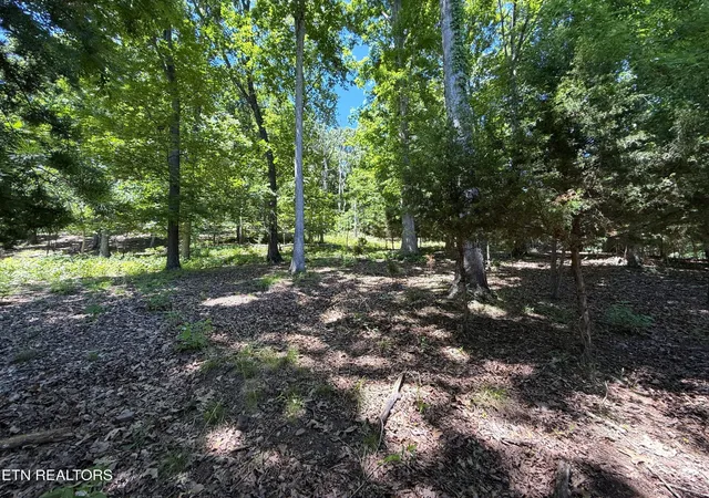 Homes for sale in Mooresburg, TN | 0 Harbor View, Mooresburg, TN 37811 | MLS# 3232852