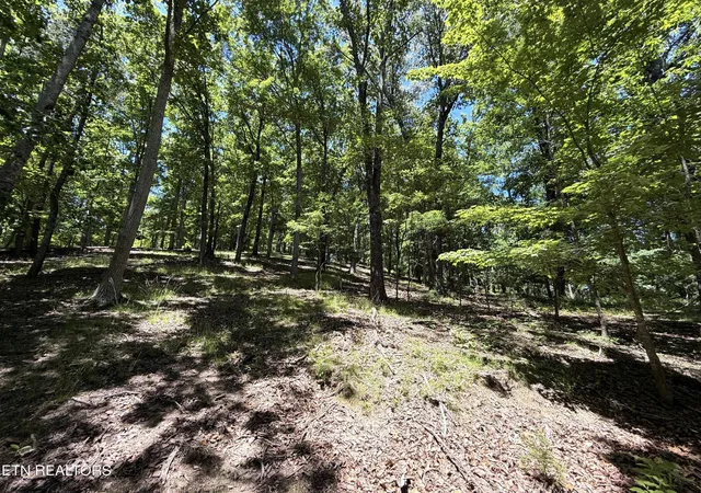 Homes for sale in Mooresburg, TN | 0 Harbor View, Mooresburg, TN 37811 | MLS# 3232852