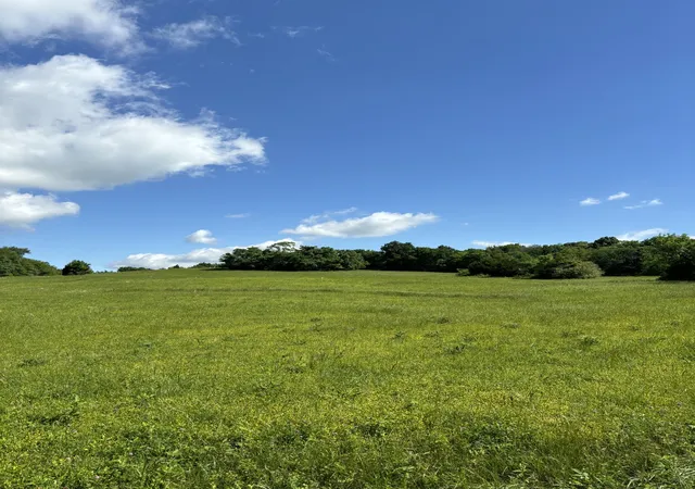 Photo 2 of Land for sale at 1093 Bugscuffle Rd, Wartrace, TN 37183 | MLS# 3242672 | Listing updated on 2026-09-16