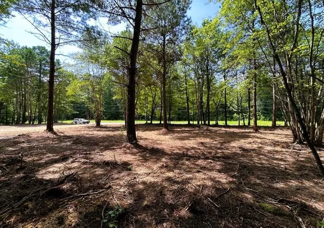 Photo 3 of Land for sale at 34 Tennessee 304, Ten Mile, TN 37880 | MLS# 3244164 | Listing updated on 2026-08-19