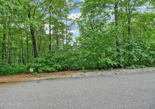 Photo 3 of Land for sale at 0 Eagle Blf, Jamestown, TN 38556 | MLS# 3232921 | Listing updated on 2026-08-19