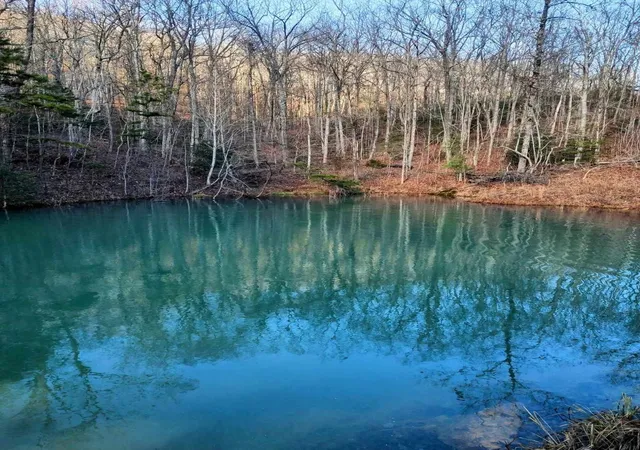Photo 4 of Land for sale at 74 Black Cat Trl, Rockwood, TN 37854 | MLS# 3234076 | Listing updated on 2026-08-22