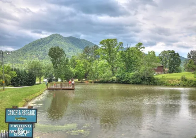 47th image of 210 Meghans Way, Townsend, TN 37882 | MLS# 3232998