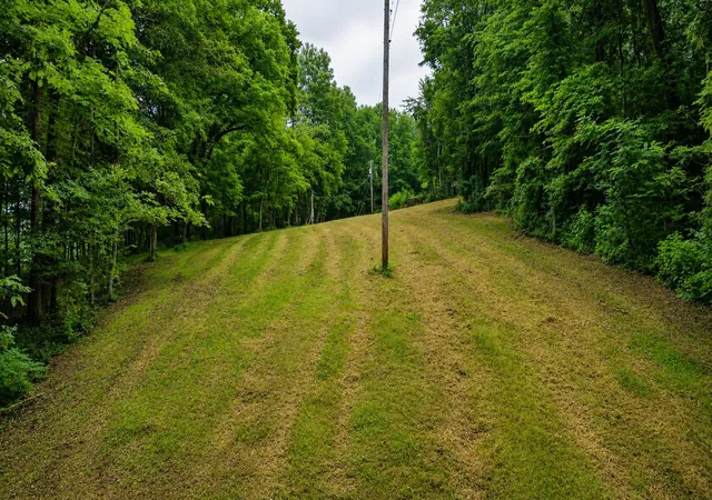 Homes for sale in Prospect, TN | 1299 Dixon Town Rd, Prospect, TN 38477 | MLS# 3234597