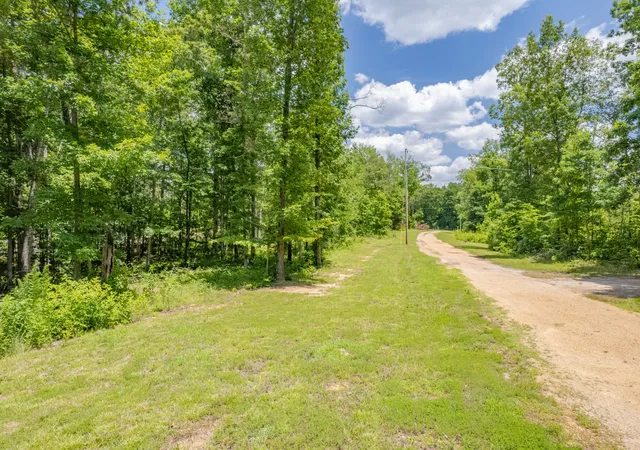 Homes for sale in Primm Springs, TN | 6126 Calvin Potts Rd, Primm Springs, TN 38476 | MLS# 3233152