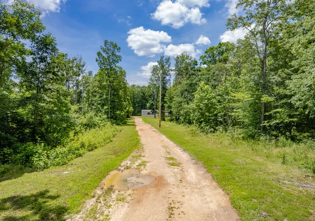 Homes for sale in Primm Springs, TN | 6126 Calvin Potts Rd, Primm Springs, TN 38476 | MLS# 3233152