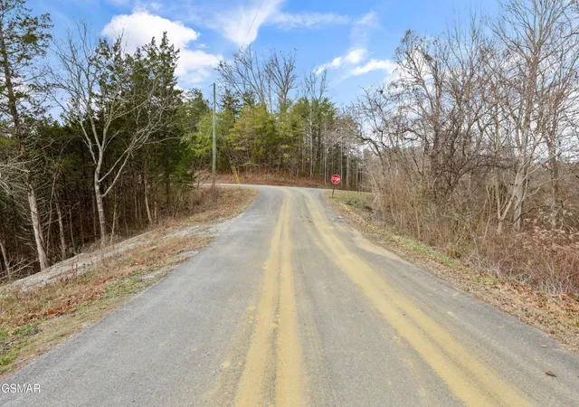 4th image of 1006 Eric Court, Sevierville, TN 37876 | MLS# 3304395