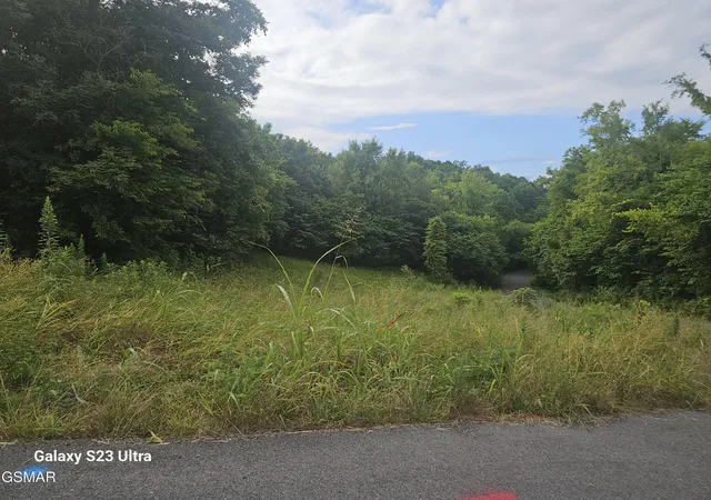 2nd image of 0 Ivy Way, Newport, TN 37821 | MLS# 3319598