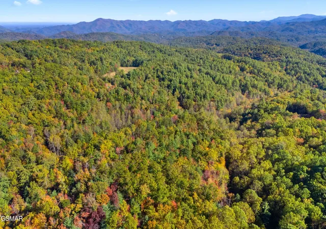 13th image of 537 Reece Hollow, Del Rio, TN 37727 | MLS# 3299376