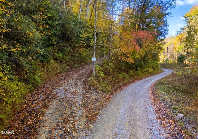 2nd image of 537 Reece Hollow, Del Rio, TN 37727 | MLS# 3299376