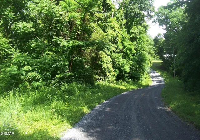 3rd image of 21 Clearwood Road, Newport, TN 37821 | MLS# 3304066