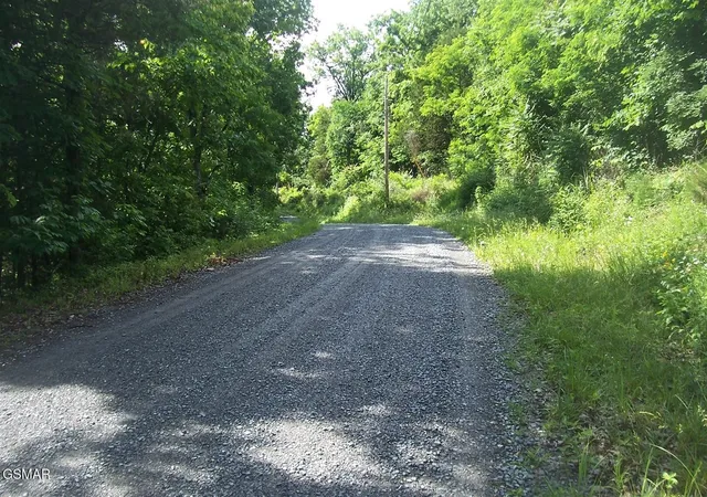 4th image of 21 Clearwood Road, Newport, TN 37821 | MLS# 3304066