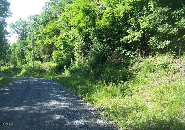 5th image of 21 Clearwood Road, Newport, TN 37821 | MLS# 3304066