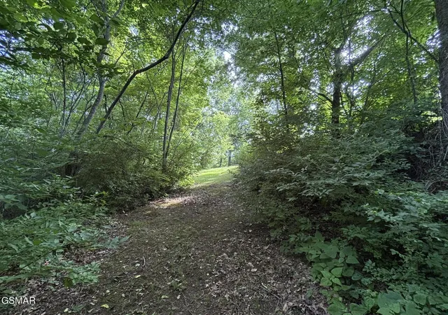 65th image of 320 Cherry Hill Way, Newport, TN 37821 | MLS# 3298360