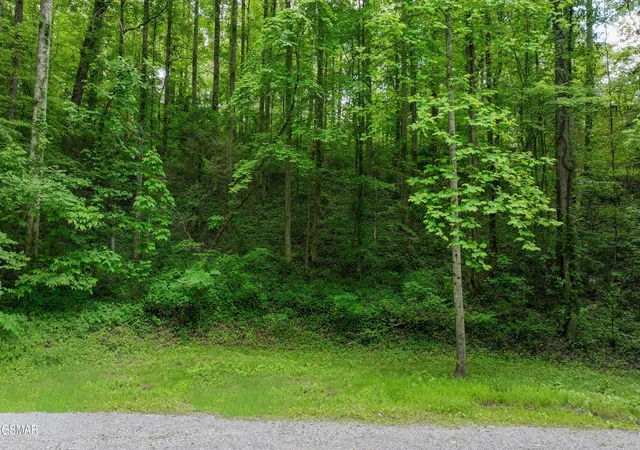 5th image of 6 Covemont Lane, Sevierville, TN 37862 | MLS# 3322508