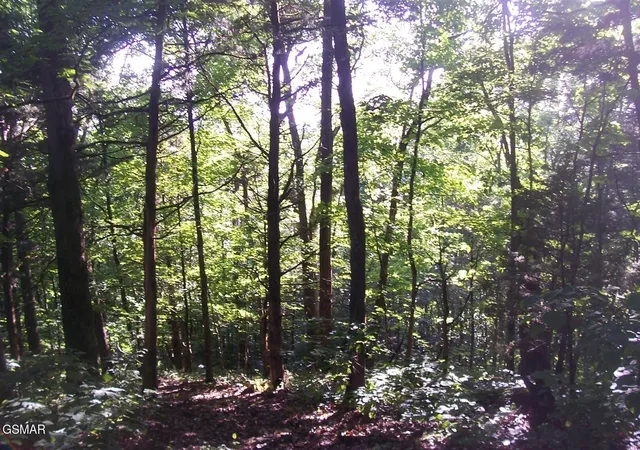 5th image of 27 Splendor Way, Parrottsville, TN 37843 | MLS# 3304079