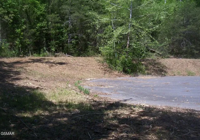 2nd image of 29 Splendor Way, Parrottsville, TN 37843 | MLS# 3304081