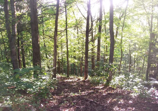 5th image of 25 Splendor Way, Parrottsville, TN 37843 | MLS# 3304082