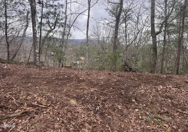 1st image of 2821 Cedar Falls Way, Sevierville, TN 37862 | MLS# 3298370