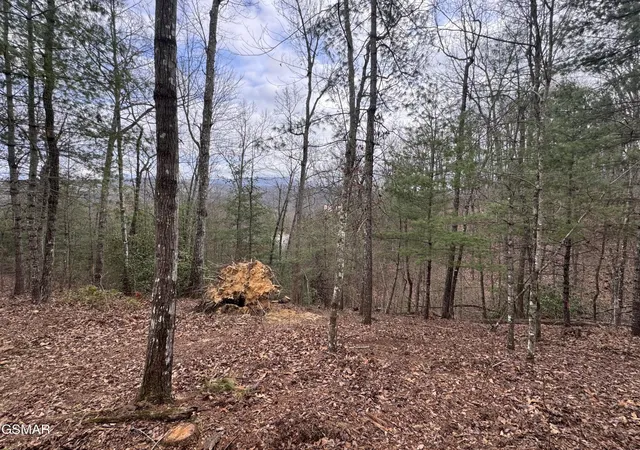3rd image of 2821 Cedar Falls Way, Sevierville, TN 37862 | MLS# 3298370