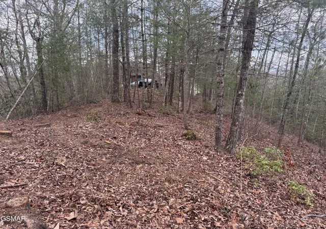 5th image of 2821 Cedar Falls Way, Sevierville, TN 37862 | MLS# 3298370