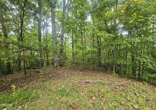 19th image of 0 Deer Ridge Lane, Sevierville, TN 37876 | MLS# 3288529