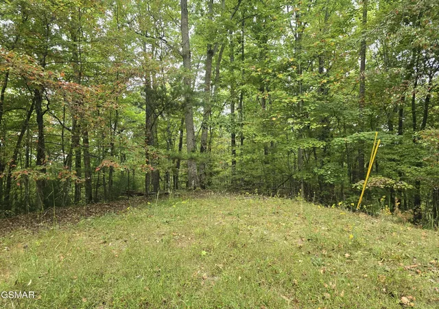 4th image of 0 Deer Ridge Lane, Sevierville, TN 37876 | MLS# 3288529
