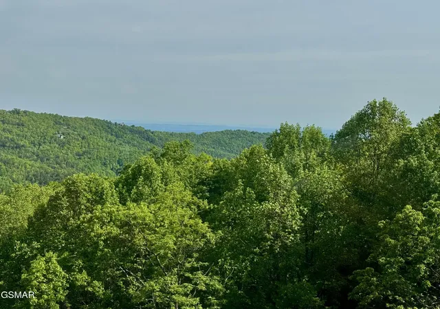 3rd image of 1102 Ski Vw Dr, Gatlinburg, TN 37738