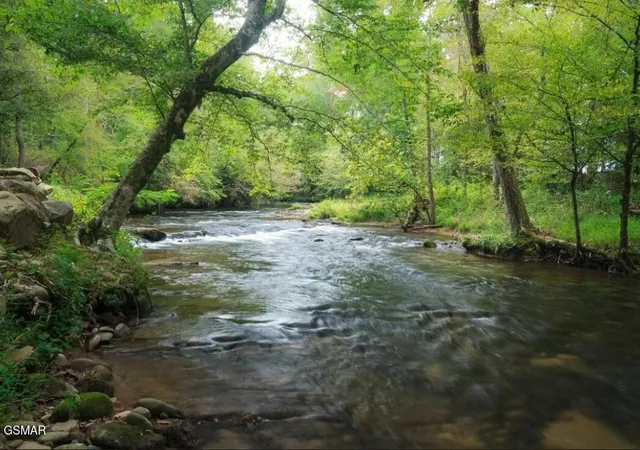 4th image of 222 Limestone Way, Cosby, TN 37722 | MLS# 3304397