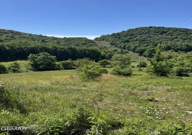 5th image of 370 Doane Road, New Market, TN 37820 | MLS# 3304059