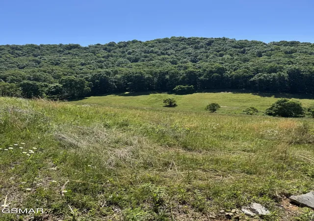 6th image of 370 Doane Road, New Market, TN 37820 | MLS# 3304059