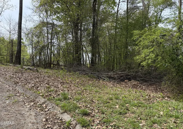 1st image of 6 John Spears Way, Sevierville, TN 37876 | MLS# 3278413