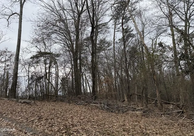 18th image of 6 John Spears Way, Sevierville, TN 37876 | MLS# 3278413