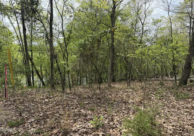 4th image of 6 John Spears Way, Sevierville, TN 37876 | MLS# 3278413