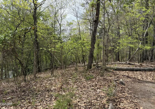 5th image of 6 John Spears Way, Sevierville, TN 37876 | MLS# 3278413