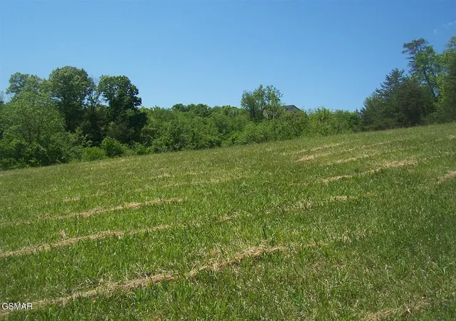 2nd image of 30 Splendor Way Way, Parrottsville, TN 37843 | MLS# 3304084