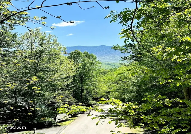 5th image of 749 Yona Trail Way, Gatlinburg, TN 37738 | MLS# 3289835