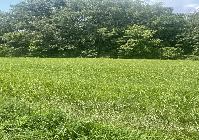 1st image of 0 Summer Lake, Shelbyville, TN 37160 | MLS# 3282346